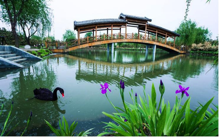 真实的兰陵图片,现在的兰陵