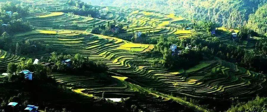 五一出游哪里最堵,假期最堵景点