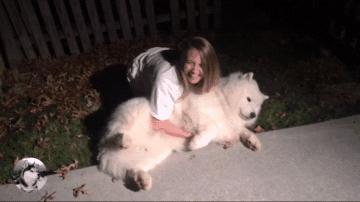 大白狗因“爱笑”成网红，还知道它很受欢迎，狗：我帅吗？