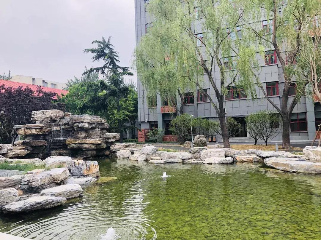 西城教育格局,西城区161中学分校如何