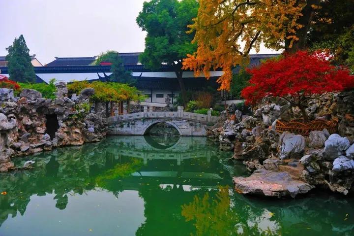 一花一木万般皆有情,一花一木皆是景歌名