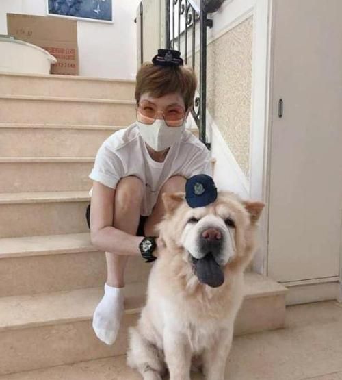 2019港星马蹄露,港星素颜