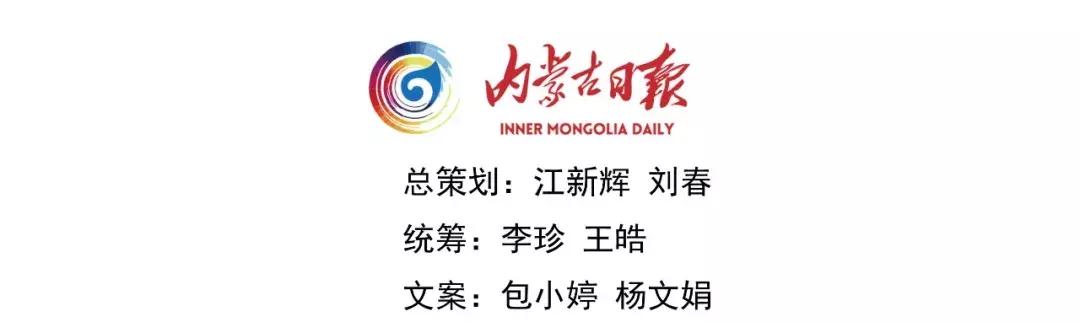 在内蒙古家里没几匹马和骆驼都不能愉快地玩耍了！