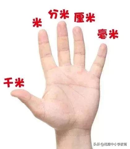 小学三年级重量单位换算公式大全,五年级上册数学单位换算公式大全