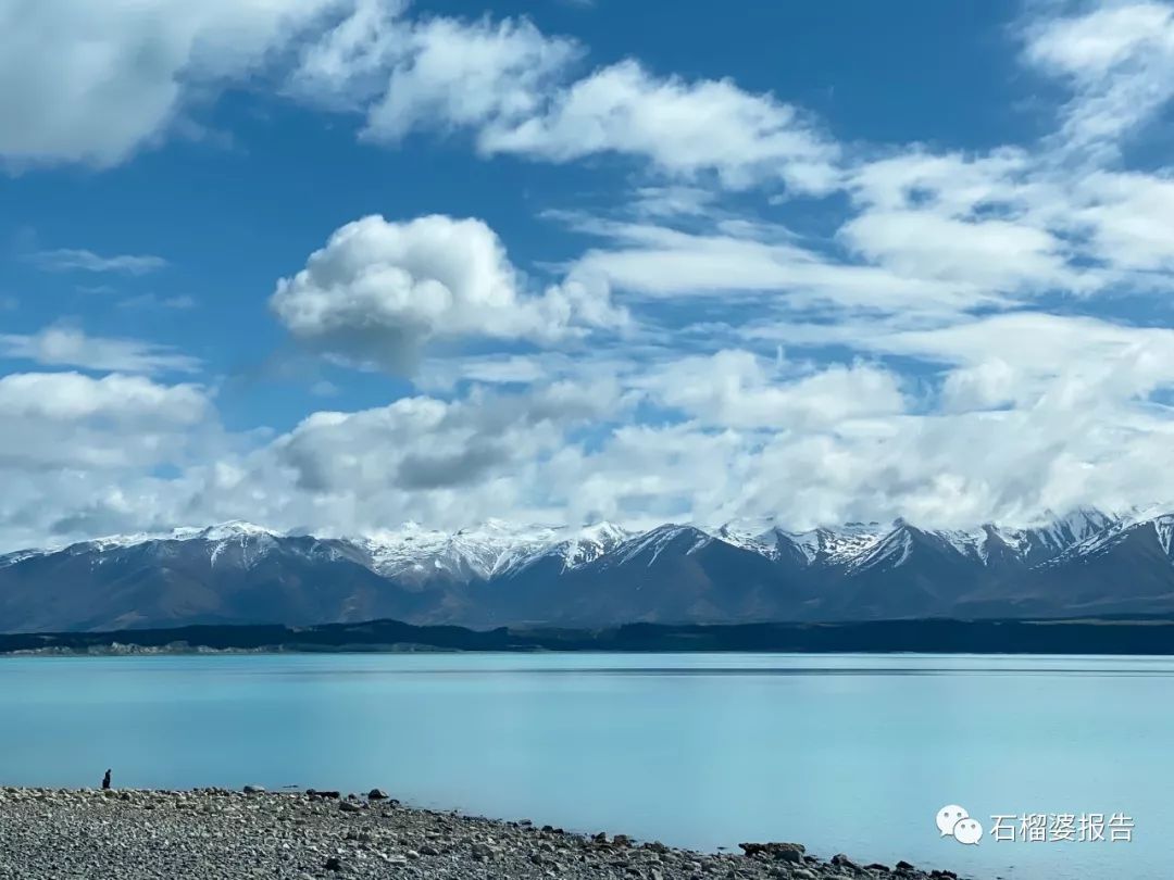 旅行7天,新西兰霍比特人村游记