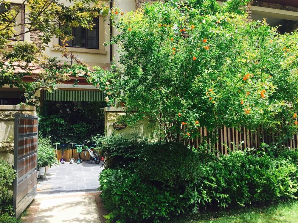 武汉最难进的十大小学,武汉最偏僻的985学校