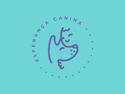 秋冬狗狗用什么驱虫效果好,狗狗秋冬怎么预防感冒