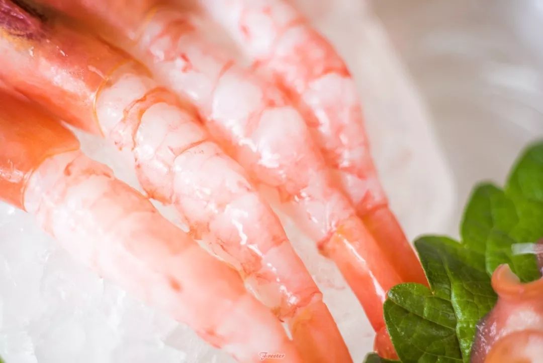 海口飞特,飞特推荐