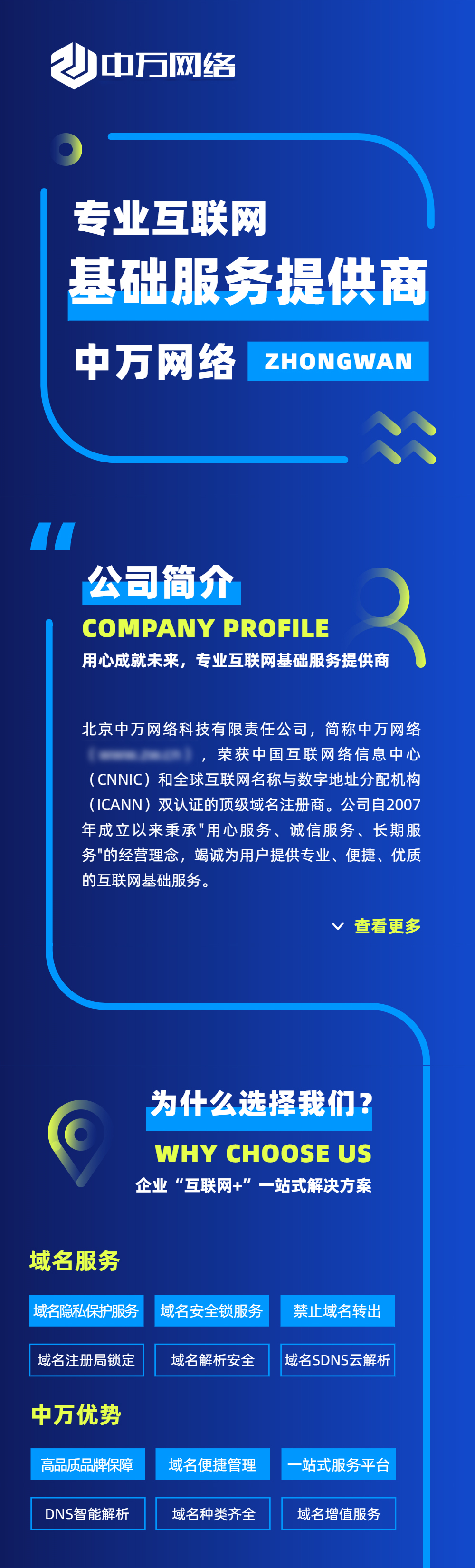 域名行业的未来,专家对域名行业的看法