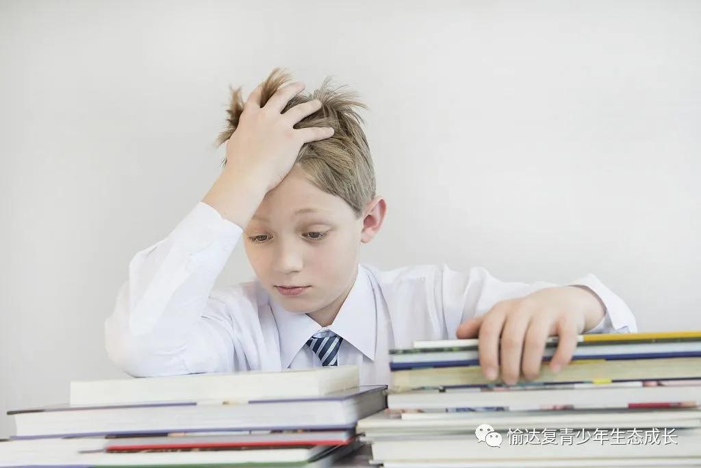 孩子叛逆逃学培训中心有效果吗,孩子叛逆期逃学怎么办