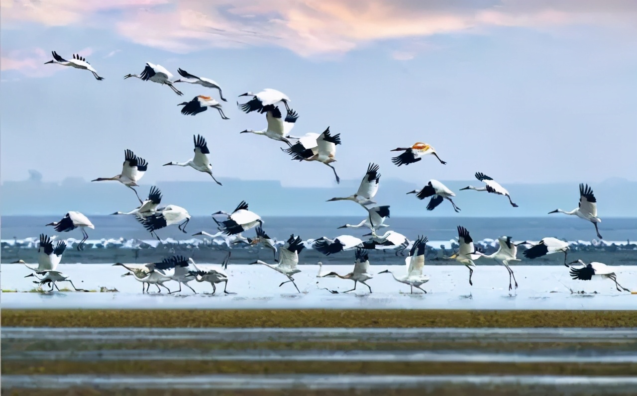 鄱湖之滨鱼米之乡,江西鄱阳湖