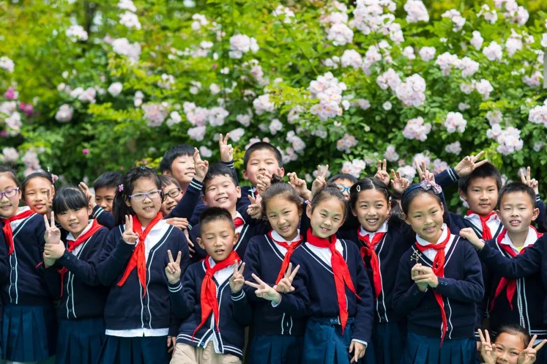 南京河西名校,南京河西中最好的学区