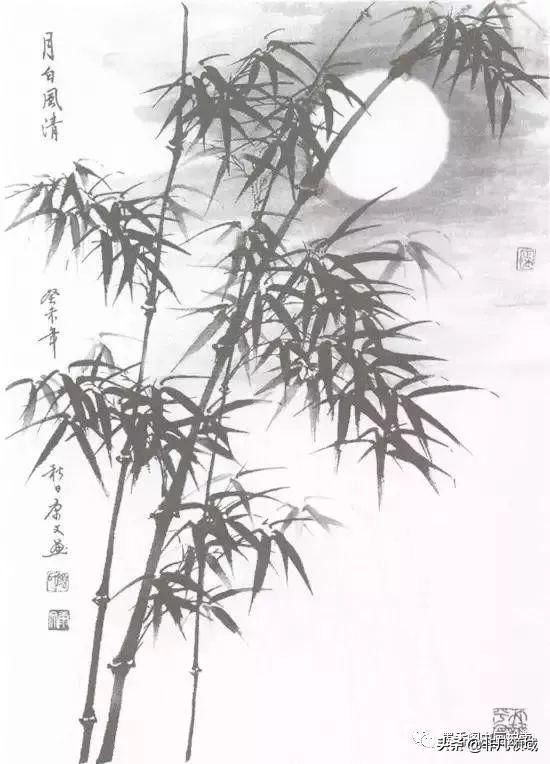 国画教程竹子的写意画法,国画写意竹子画法步骤