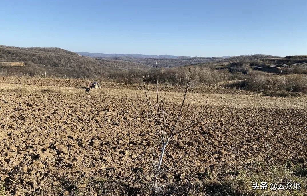 不用农药怎么根除水田杂草,田间除草怎样防止杂草