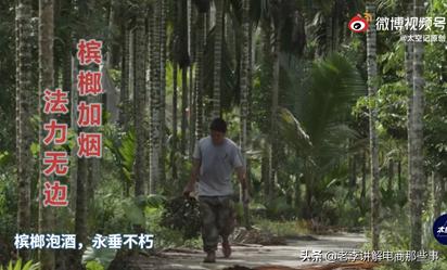 槟榔千亿产业或被按下暂停键,槟榔产业暴利的背后