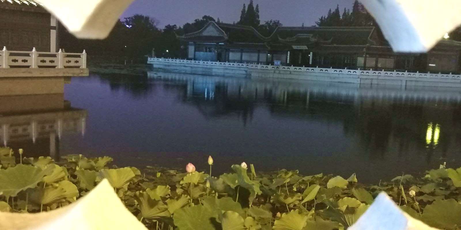 nomatterwhat可以引导名词性从句吗,what引导的名词性从句的五种用法