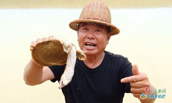 鄱阳县同兴村张晓华：从甲鱼游击队变为致富正规军