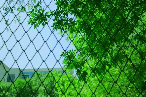 天津超奢华大学,天津大学旧校区取景