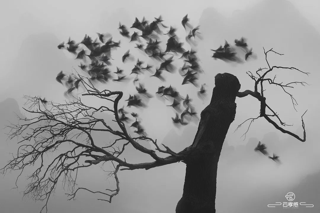 李鸿飞摄影作品初春,李鸿飞画家