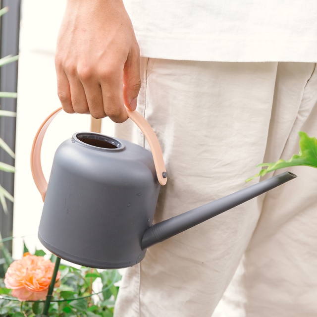 刚上盆的石斛黄叶了是什么原因,石斛叶子黄了是什么原因引起的