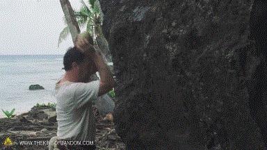 开椰子用口香糖,用口香糖开椰子告诉我们什么道理