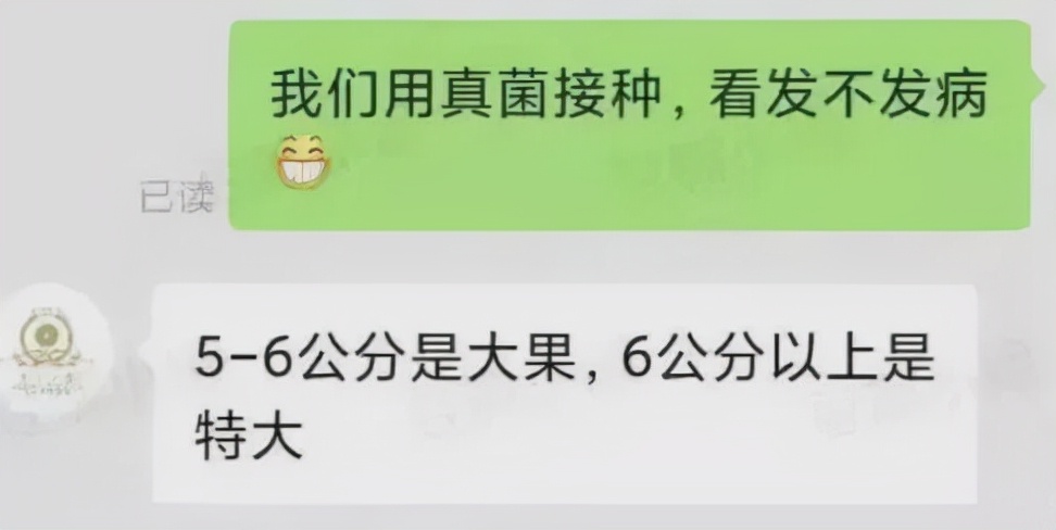 送博士生蜜橘的橘农火了：不仅店被抢空还帮了全村的忙