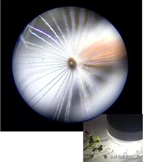 迷你高清便携显微镜对眼睛有害吗,日本口袋放大120倍显微镜