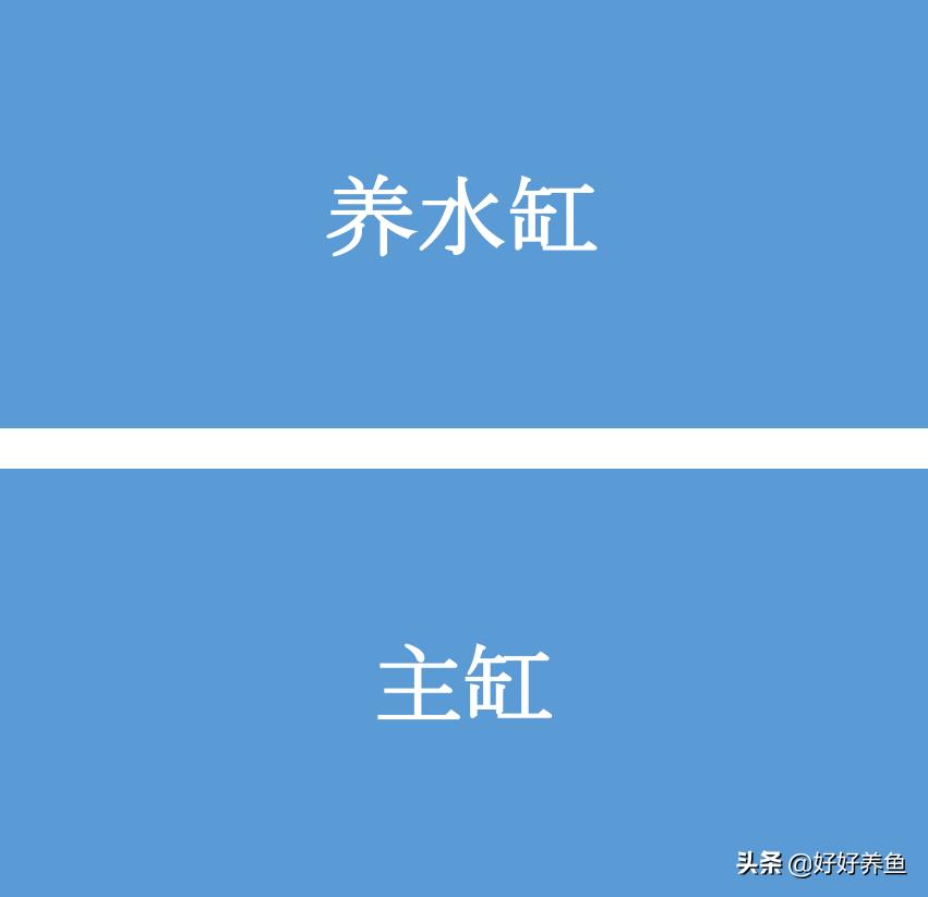 鱼缸换水注意事项养鱼老道,鱼缸养鱼换水的重要性