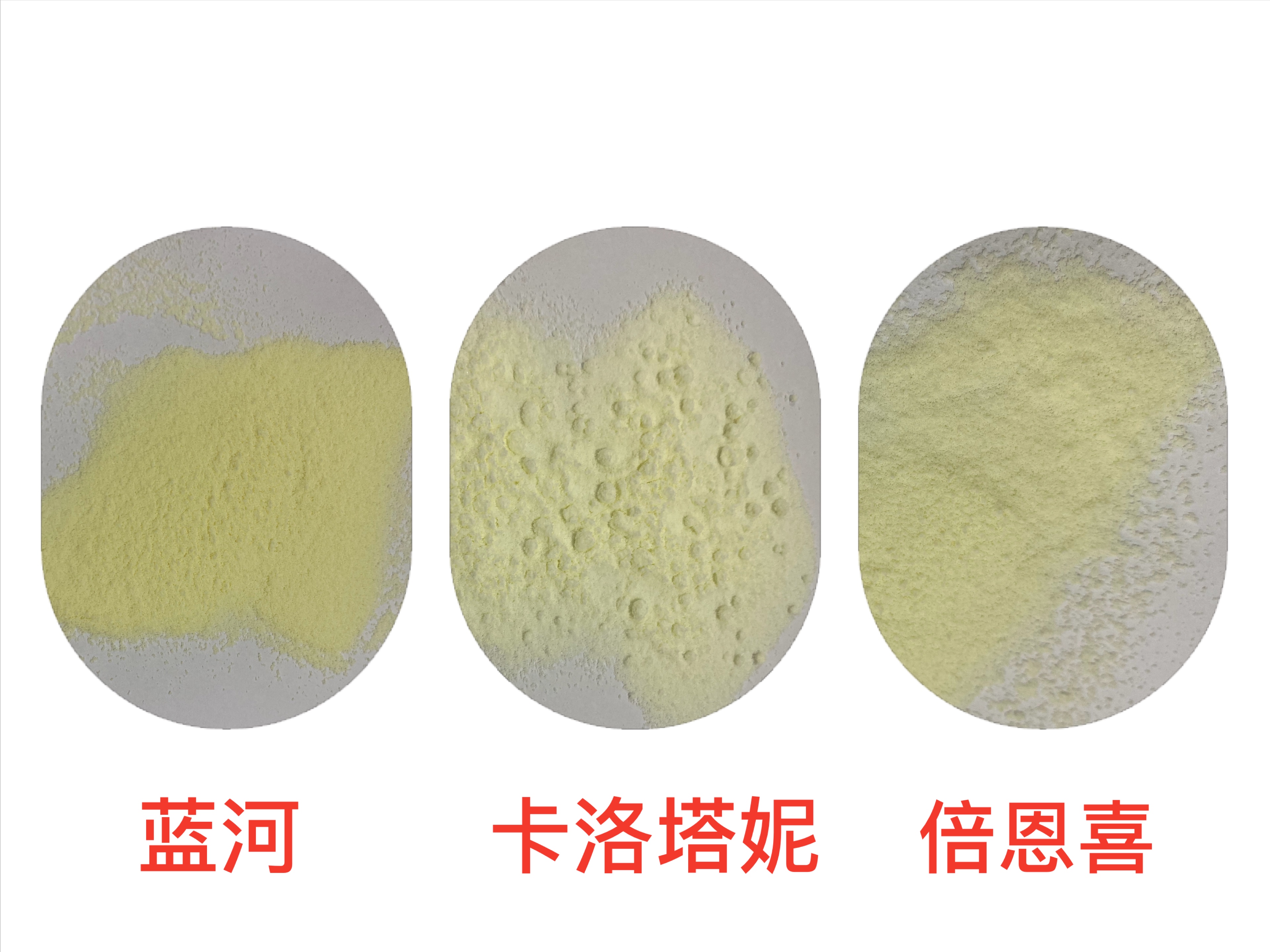 新西兰的成人羊奶粉哪款好,新西兰进口羊奶粉排名前十