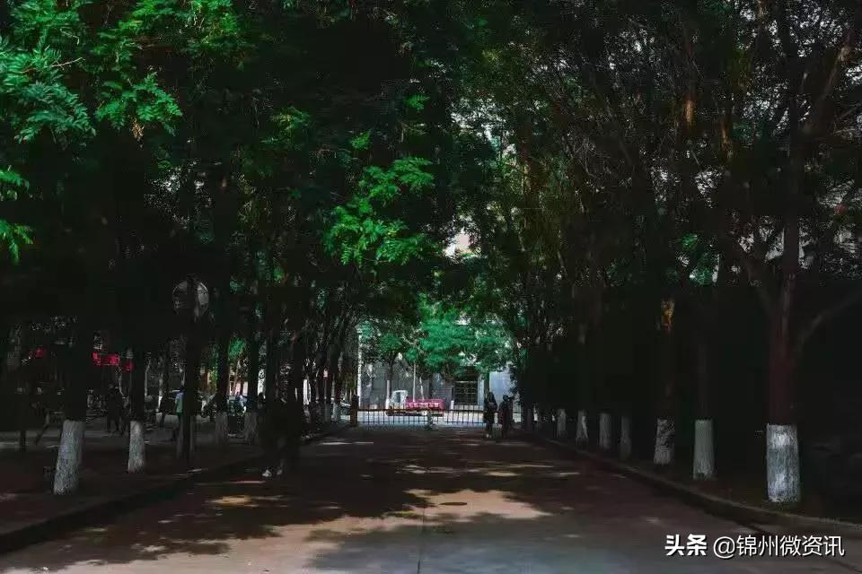 锦州渤海大学!全国最美大学之一!新入学的同学想知道的都在这里
