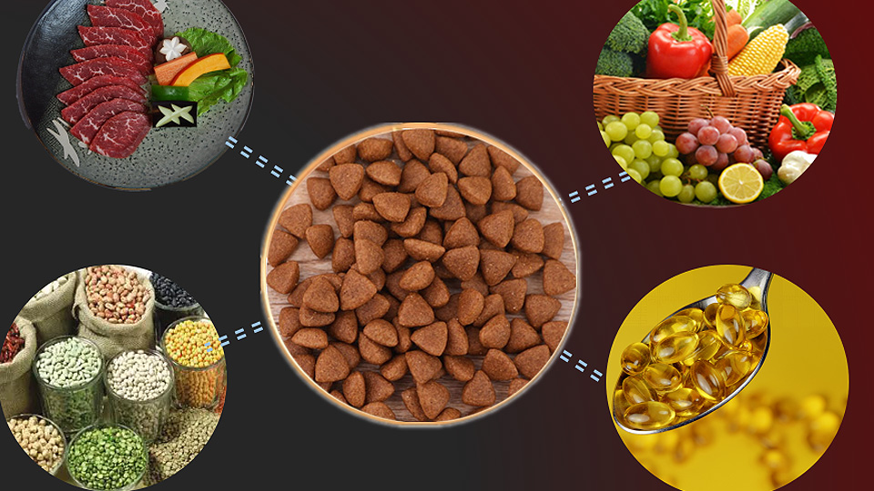 马犬的正确饲养方法,饲养马犬视频