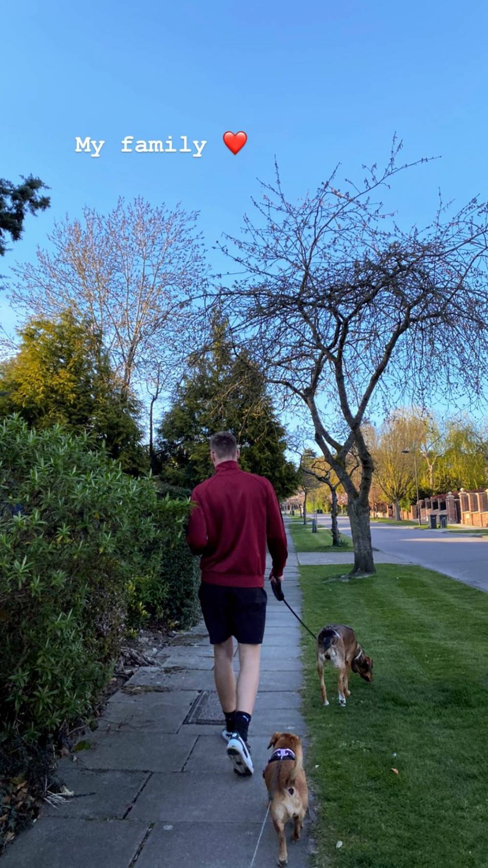 足球球员雷吉隆,雷吉隆上场