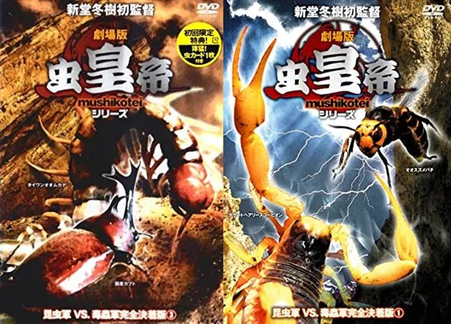 跟虫子谈恋爱,跟昆虫谈恋爱