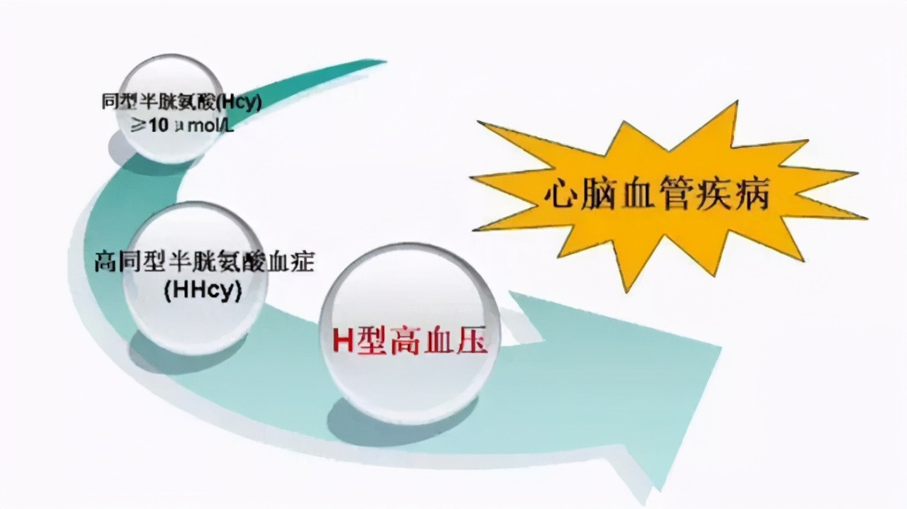 高血压人吃叶酸什么牌子好,高血压补叶酸哪种叶酸既便宜又好