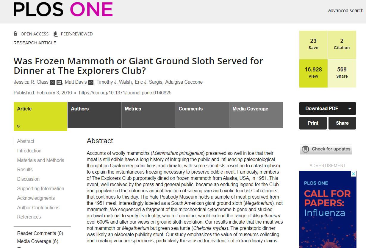 猛犸象冰河世纪的巨兽,冻土层下的猛犸象牙