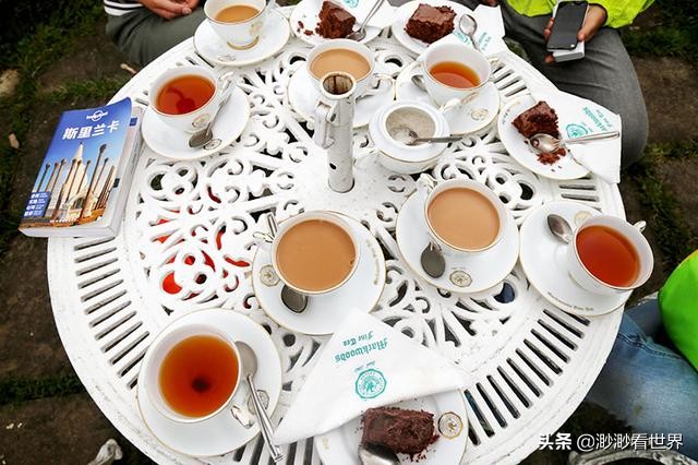 去斯里兰卡旅游攻略,1月去斯里兰卡旅游的最佳攻略