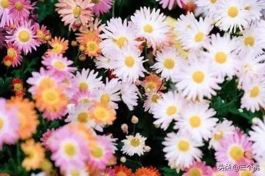 今年流行的裙子不穿高跟鞋,穿今年最流行的裙子