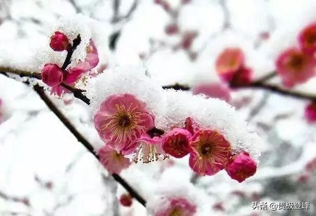 哲理诗词大全100首,很有哲理的诗词