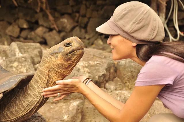 龟怎样才算认可主人,怎么增加和龟的互动性