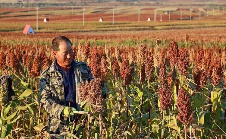 美丽的内蒙通辽,通辽最美的风景