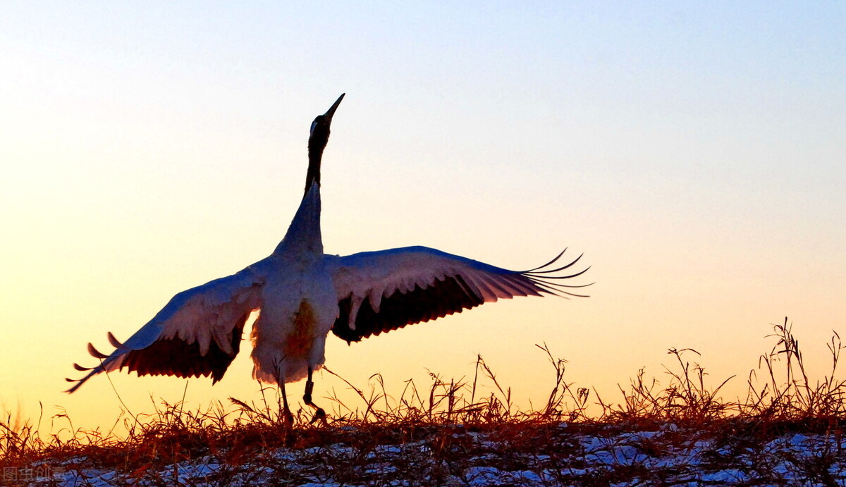 汪教授说抑郁症,汪教授讲抑郁症全集