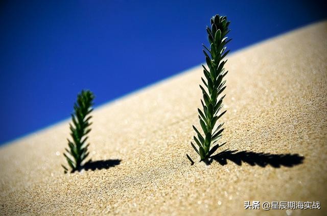 做期货如何抓住大行情,哪些期货品种适合日内短线交易