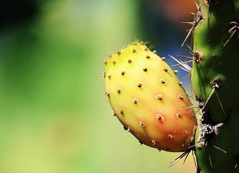 做人不要太锋芒毕露学会低调处事,为人处世只要懂得这三条规则