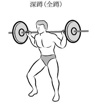 深蹲可以锻炼股四头肌和核心力量，怎样进行深蹲练习翘臀？