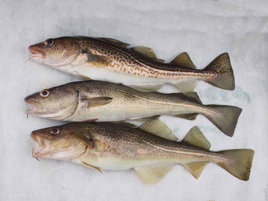 女生做了近视手术应该吃些什么,儿童近视一千五百度可以做手术吗