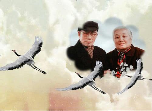 为啥叫驾鹤西去不叫驾龙西去,人去世为什么叫驾鹤西去