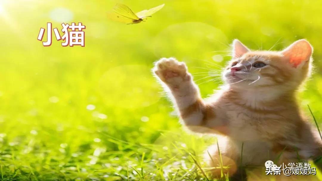 四下四单元我的动物朋友,第四单元我的动物朋友四年级上册