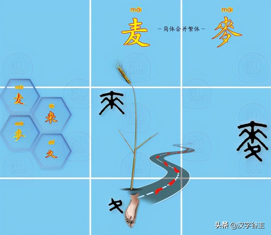 汉字由什么演变而来的,汉字从何演变而来