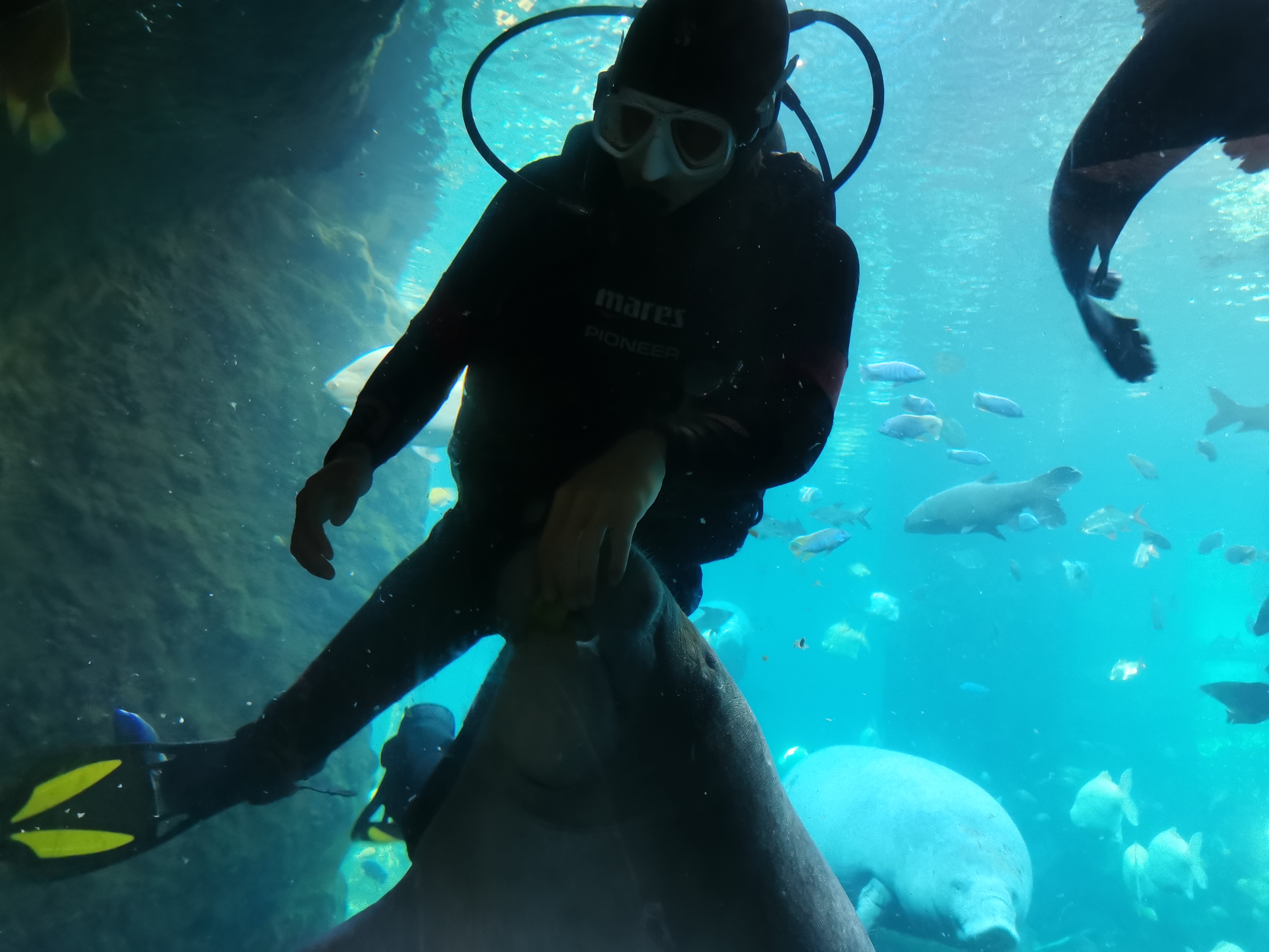 去珠海长隆海洋王国游玩攻略路线,最新珠海长隆海洋王国一日游攻略