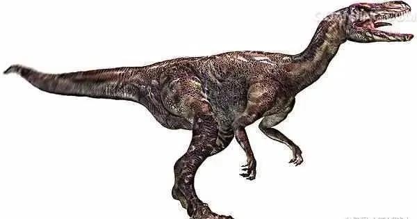 世界上最大的恐龙前10名排行榜,方舟生物恐龙体型排行榜